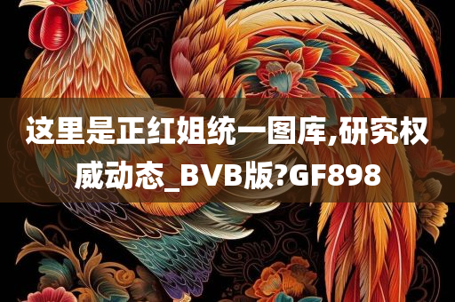 这里是正红姐统一图库,研究权威动态_BVB版?GF898