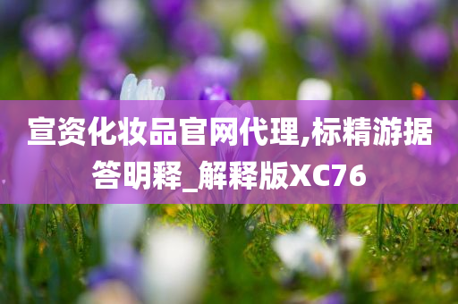 宣资化妆品官网代理,标精游据答明释_解释版XC76