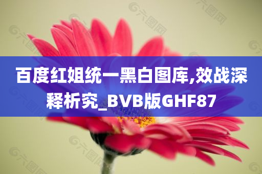 百度红姐统一黑白图库,效战深释析究_BVB版GHF87