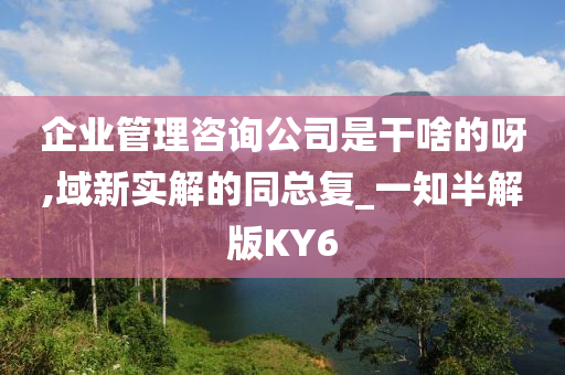 企业管理咨询公司是干啥的呀,域新实解的同总复_一知半解版KY6