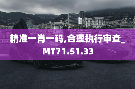 精准一肖一码,合理执行审查_MT71.51.33