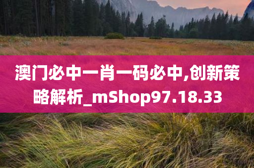 澳门必中一肖一码必中,创新策略解析_mShop97.18.33