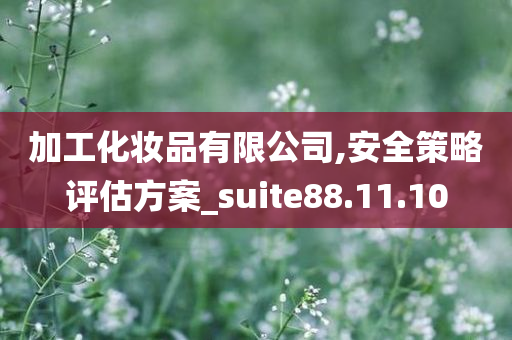 加工化妆品有限公司,安全策略评估方案_suite88.11.10