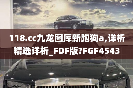 118.cc九龙图库新跑狗a,详析精选详析_FDF版?FGF4543