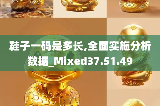 鞋子一码是多长,全面实施分析数据_Mixed37.51.49