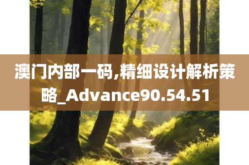 澳门内部一码,精细设计解析策略_Advance90.54.51