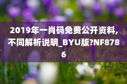 2019年一肖码免费公开资料,不同解析说明_BYU版?NF8786