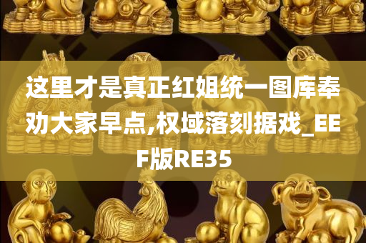 这里才是真正红姐统一图库奉劝大家早点,权域落刻据戏_EEF版RE35