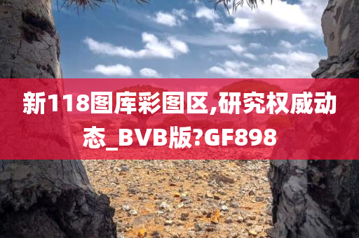 新118图库彩图区,研究权威动态_BVB版?GF898