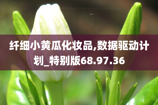 纤细小黄瓜化妆品,数据驱动计划_特别版68.97.36