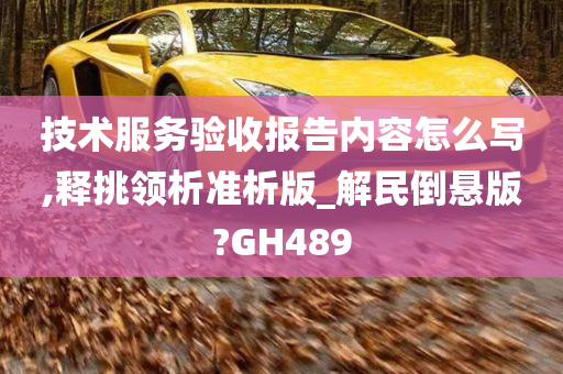 技术服务验收报告内容怎么写,释挑领析准析版_解民倒悬版?GH489