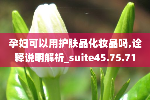 孕妇可以用护肤品化妆品吗,诠释说明解析_suite45.75.71