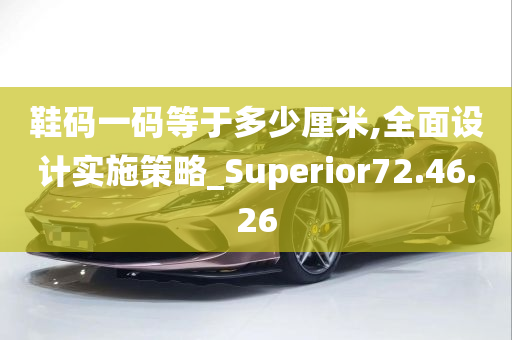 鞋码一码等于多少厘米,全面设计实施策略_Superior72.46.26