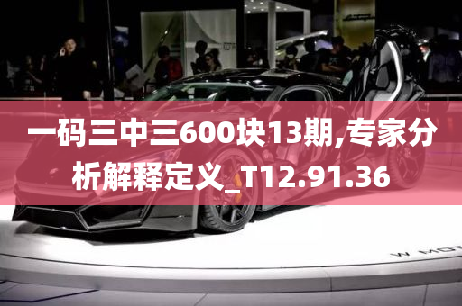 一码三中三600块13期,专家分析解释定义_T12.91.36