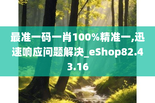 最准一码一肖100%精准一,迅速响应问题解决_eShop82.43.16