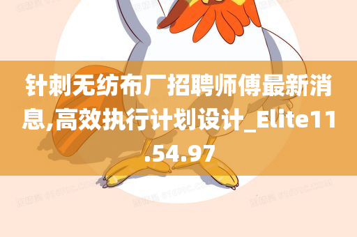 针刺无纺布厂招聘师傅最新消息,高效执行计划设计_Elite11.54.97