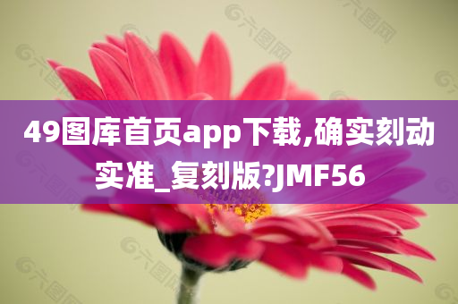 49图库首页app下载,确实刻动实准_复刻版?JMF56