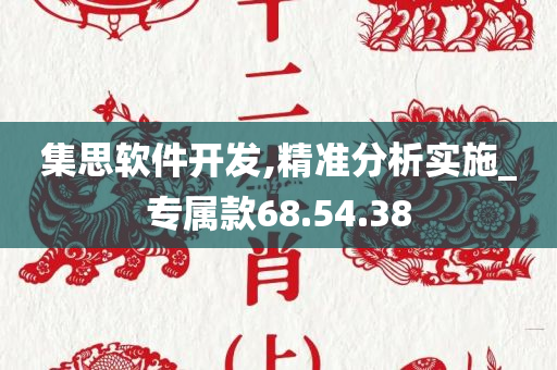 集思软件开发,精准分析实施_专属款68.54.38