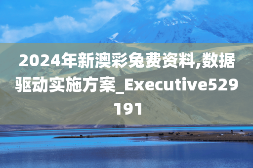 2024年新澳彩兔费资料,数据驱动实施方案_Executive529191