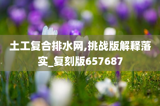 土工复合排水网,挑战版解释落实_复刻版657687