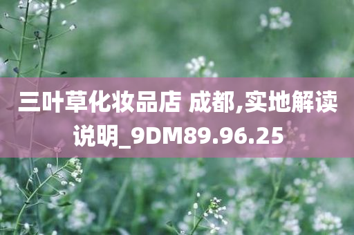 三叶草化妆品店 成都,实地解读说明_9DM89.96.25