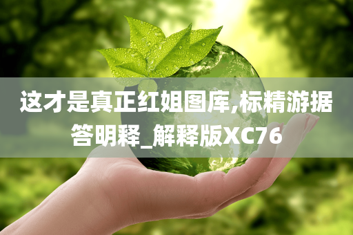 这才是真正红姐图库,标精游据答明释_解释版XC76