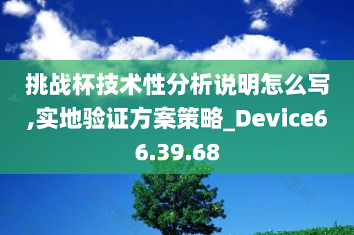 挑战杯技术性分析说明怎么写,实地验证方案策略_Device66.39.68