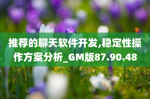 推荐的聊天软件开发,稳定性操作方案分析_GM版87.90.48