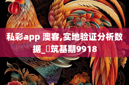 私彩app 澳客,实地验证分析数据_‌筑基期9918