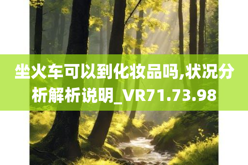 坐火车可以到化妆品吗,状况分析解析说明_VR71.73.98