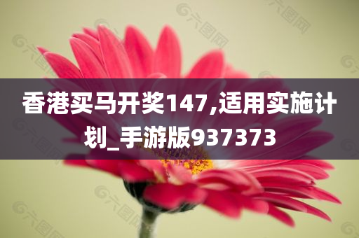 香港买马开奖147,适用实施计划_手游版937373