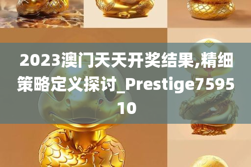 2023澳门天天开奖结果,精细策略定义探讨_Prestige759510