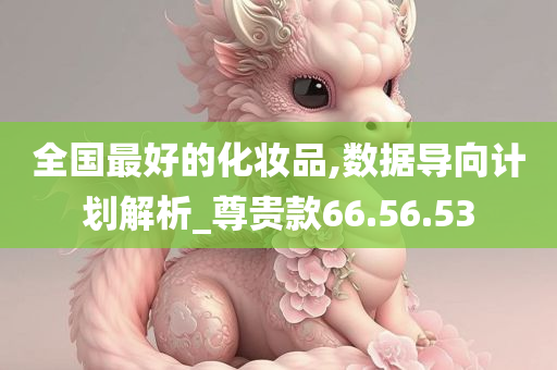 全国最好的化妆品,数据导向计划解析_尊贵款66.56.53