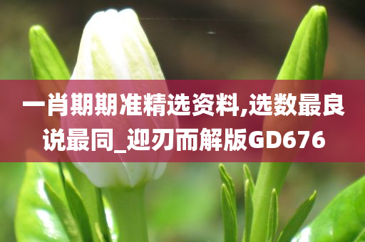 一肖期期准精选资料,选数最良说最同_迎刃而解版GD676