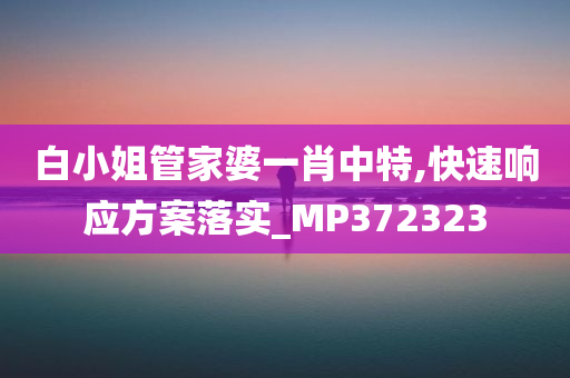 白小姐管家婆一肖中特,快速响应方案落实_MP372323