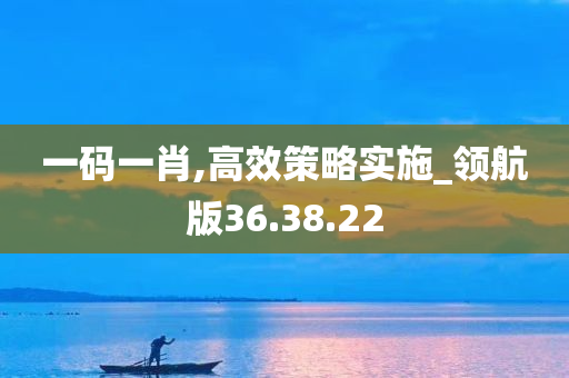 一码一肖,高效策略实施_领航版36.38.22