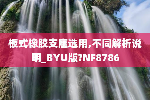 板式橡胶支座选用,不同解析说明_BYU版?NF8786