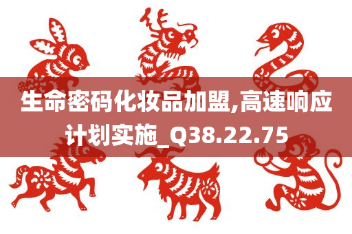 生命密码化妆品加盟,高速响应计划实施_Q38.22.75