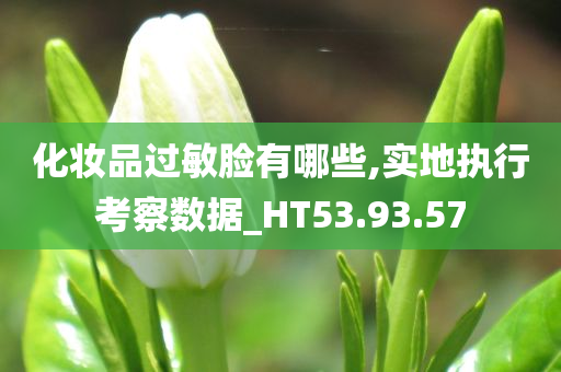 化妆品过敏脸有哪些,实地执行考察数据_HT53.93.57