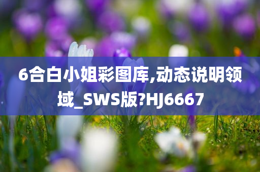 6合白小姐彩图库,动态说明领域_SWS版?HJ6667