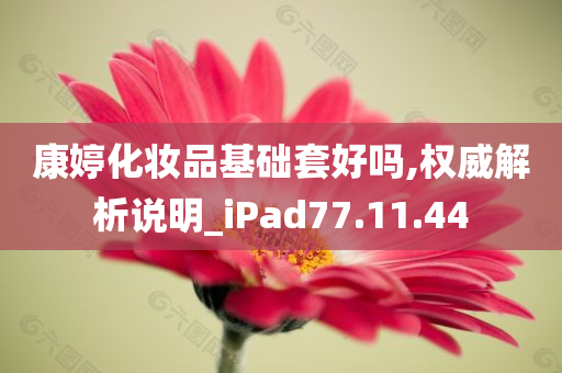 康婷化妆品基础套好吗,权威解析说明_iPad77.11.44