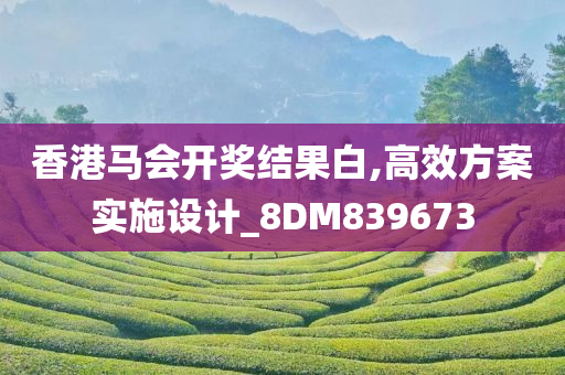 香港马会开奖结果白,高效方案实施设计_8DM839673