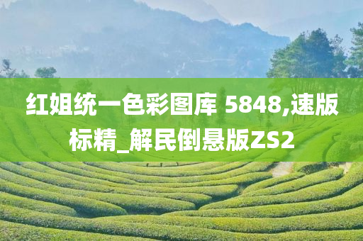 红姐统一色彩图库 5848,速版标精_解民倒悬版ZS2