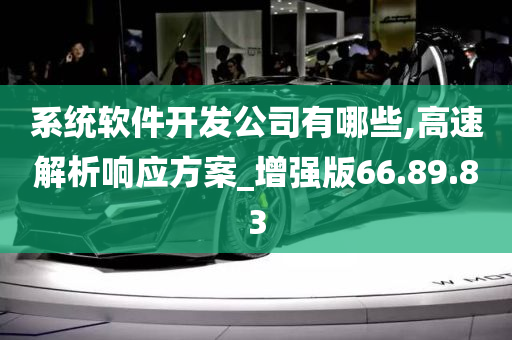 系统软件开发公司有哪些,高速解析响应方案_增强版66.89.83