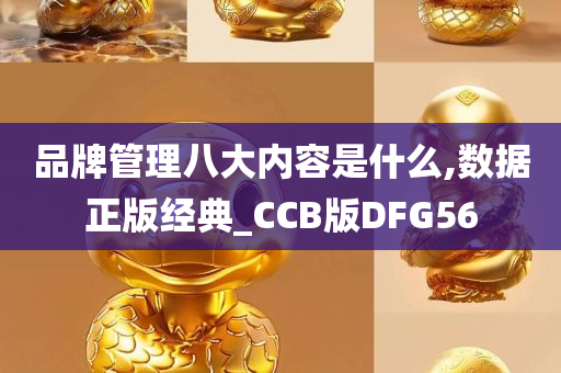 品牌管理八大内容是什么,数据正版经典_CCB版DFG56