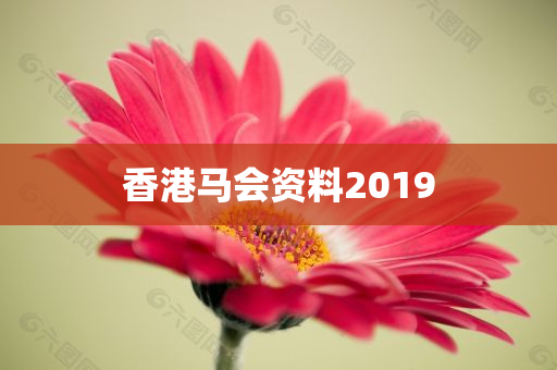 香港马会资料2019