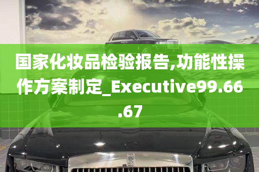 国家化妆品检验报告,功能性操作方案制定_Executive99.66.67