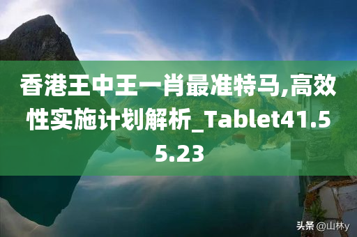 香港王中王一肖最准特马,高效性实施计划解析_Tablet41.55.23