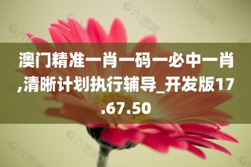 澳门精准一肖一码一必中一肖,清晰计划执行辅导_开发版17.67.50