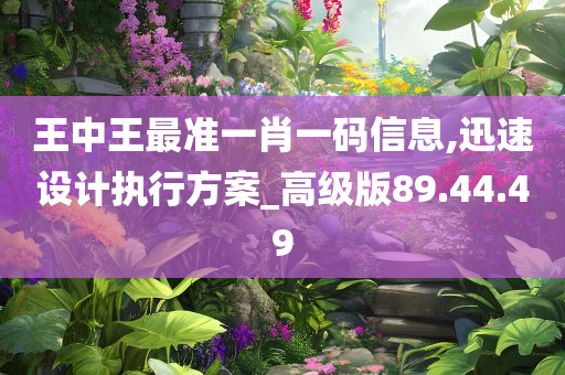 王中王最准一肖一码信息,迅速设计执行方案_高级版89.44.49